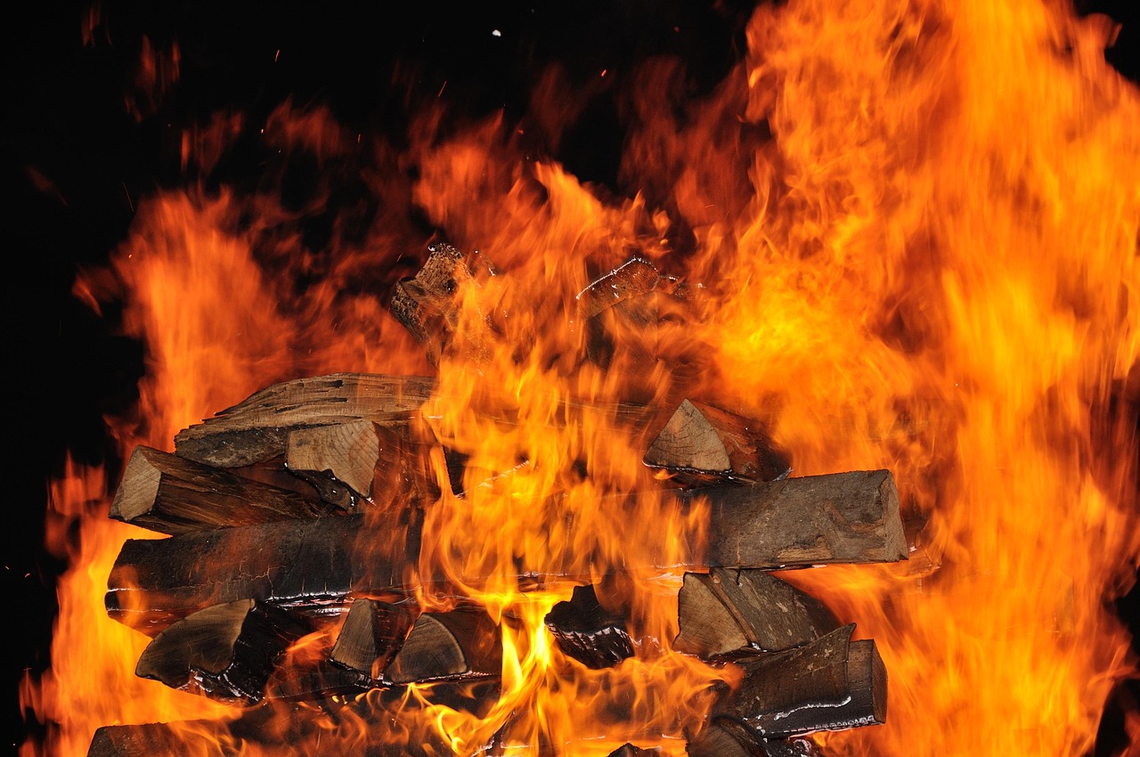 全球热门电影排行榜,瞩目之作的观影指南