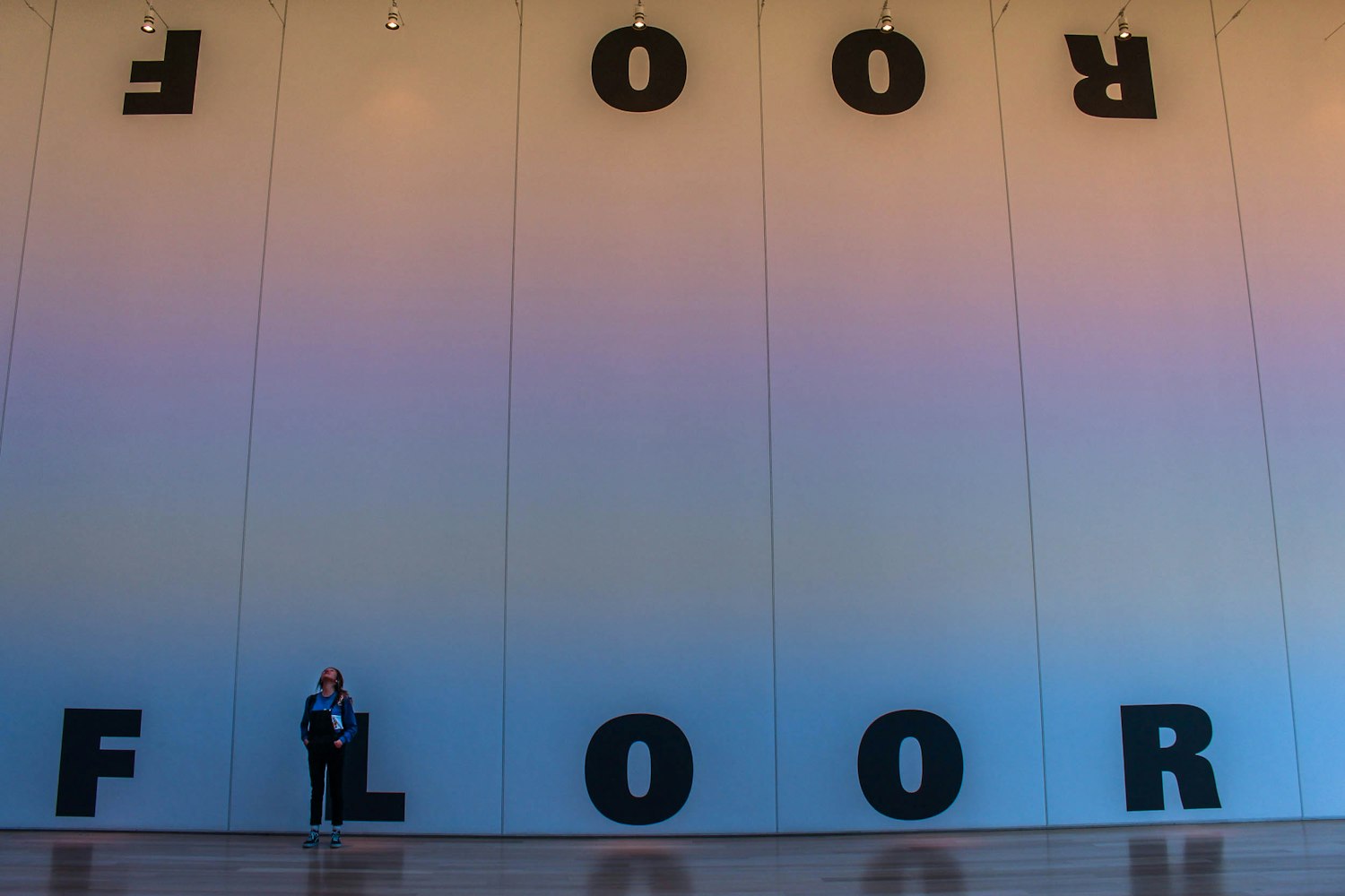 苹果最新版本的革新与用户体验,技术与艺术的完美结合之旅