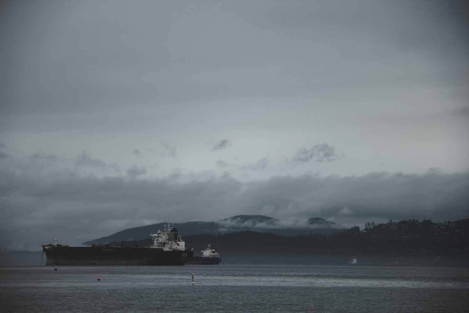 秦菲雪人生篇章全集,华丽史诗般的生命旅程
