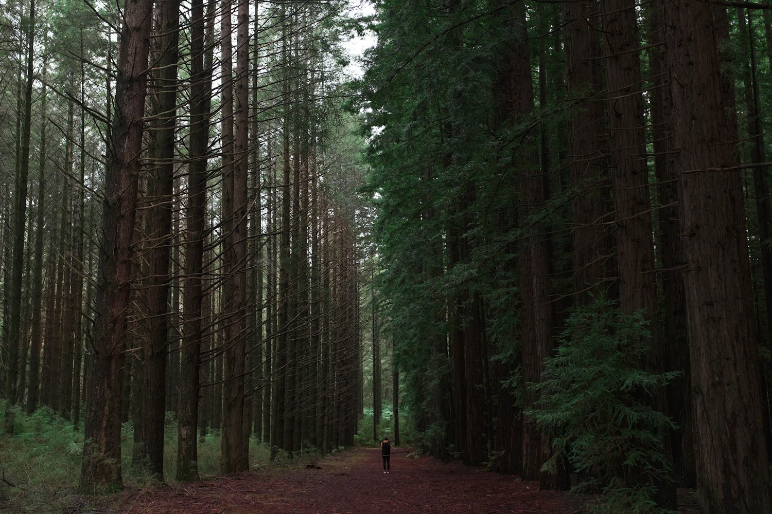 电影最新资讯,探索影视界的最新动态