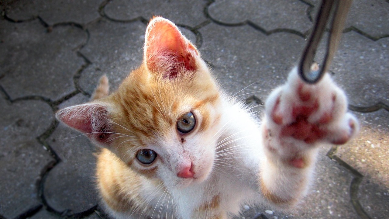 董晓芹最新动态,光芒四射,开启崭新篇章