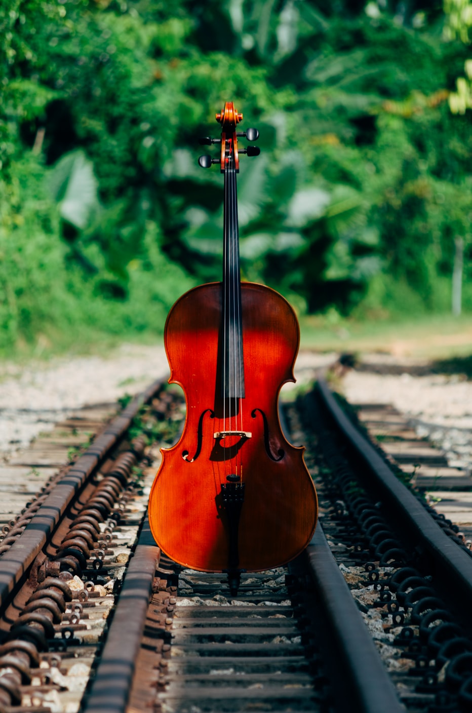 迪玛的艺术之旅,天赋与努力的交织之路