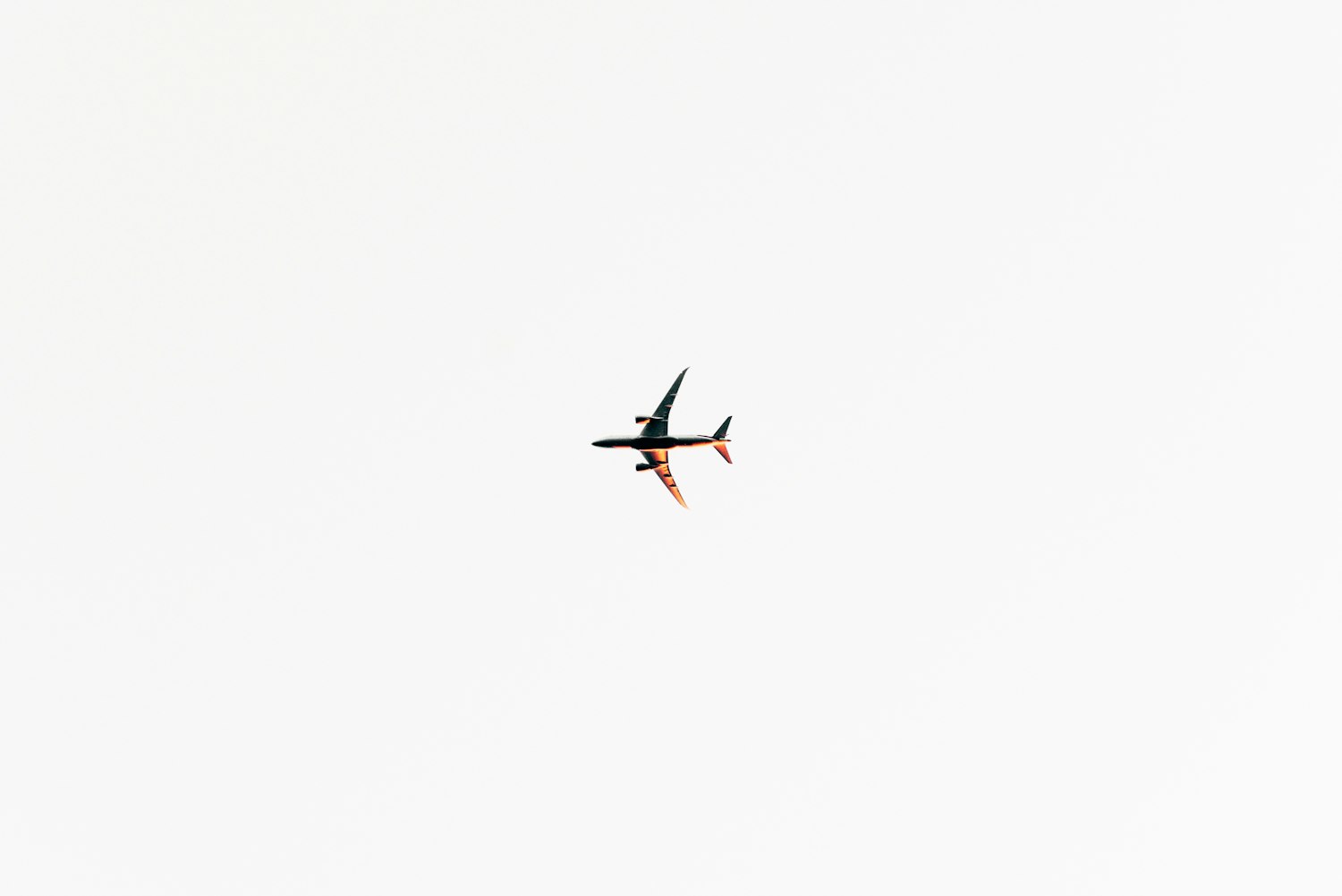 澳超赛场内外热议与最新动态聚焦