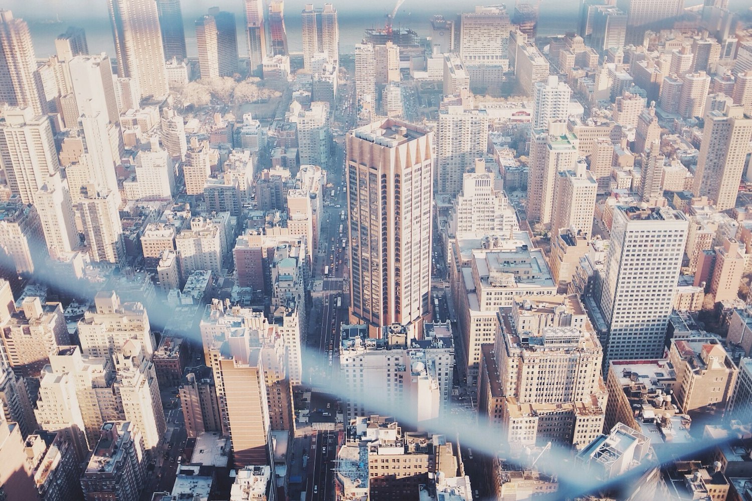 阳光电源股票投资潜力与市场前景深度解析