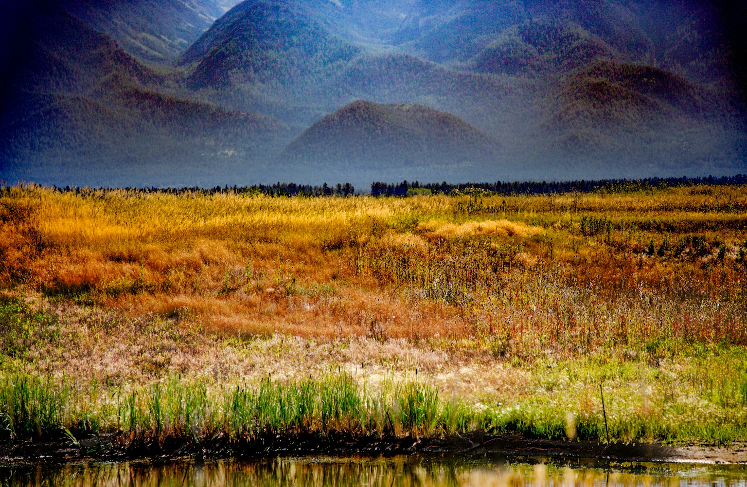 期货铜实时行情深度解析与动态播报