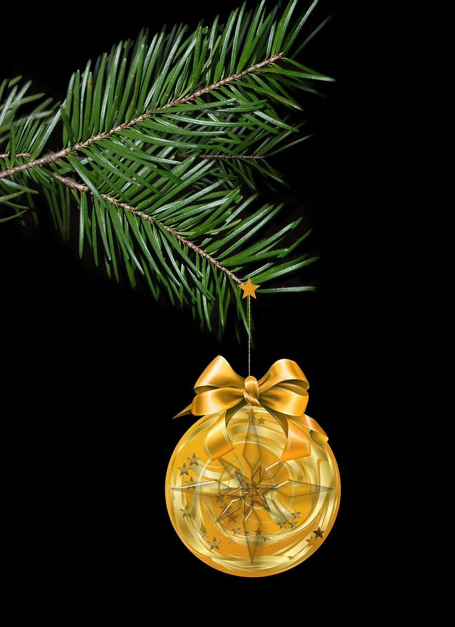 与助手新动态,共创卓越,携手共进