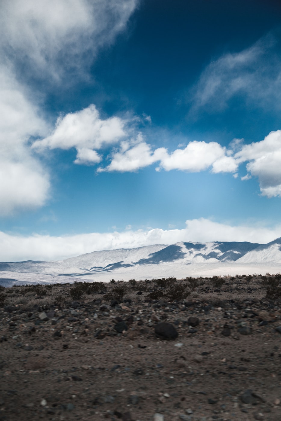 极限跳伞最新动态,高空探索的无尽魅力
