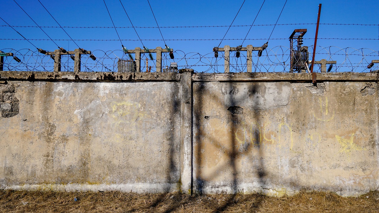 华大基因最新上市动态,引领基因科技迈向新纪元