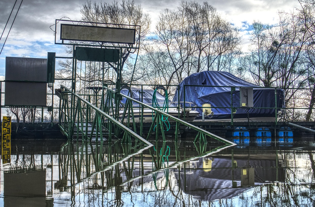 武夷新区将口最新动态更新