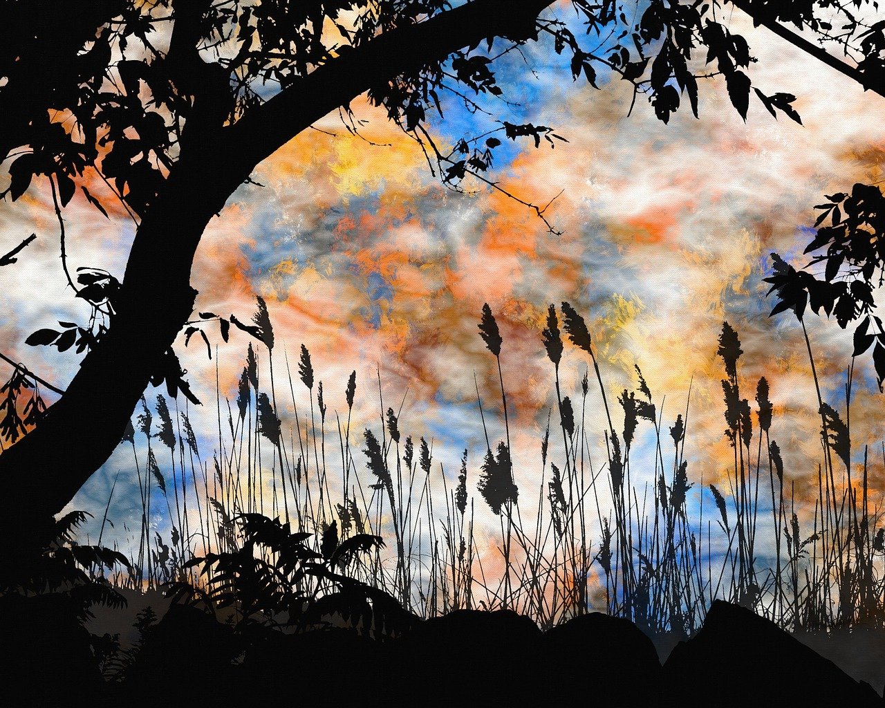 探索数字艺术魅力,画画动漫之旅