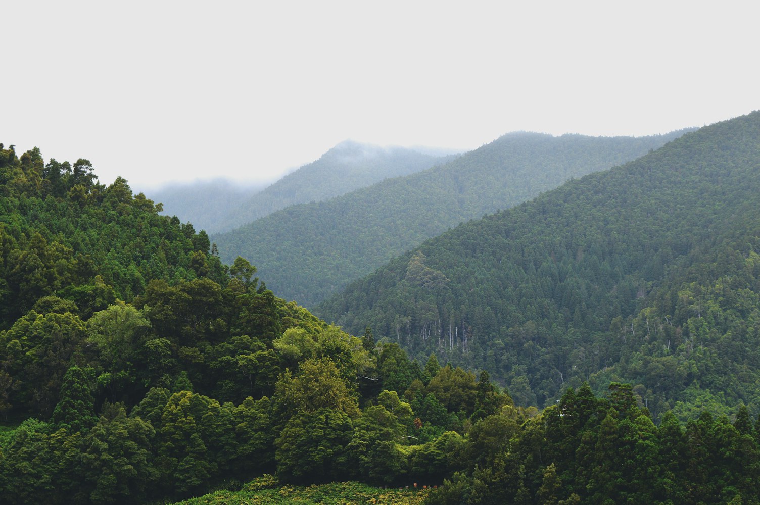探索时尚饮品文化,奶茶周边最新动态与无限可能