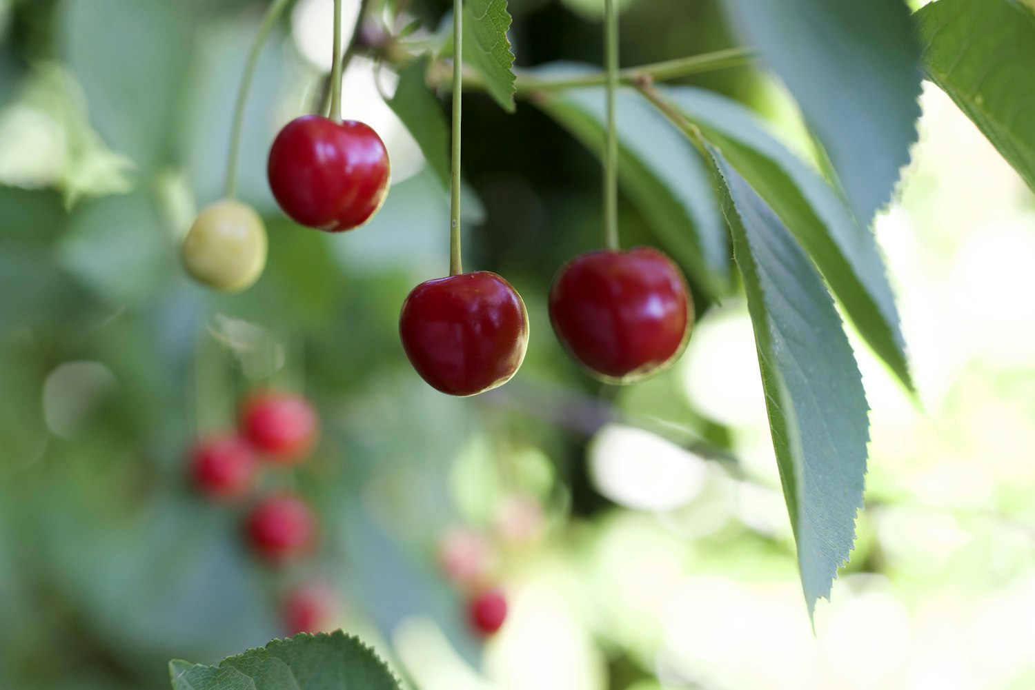 全球热点冲突事件最新动态及其影响分析