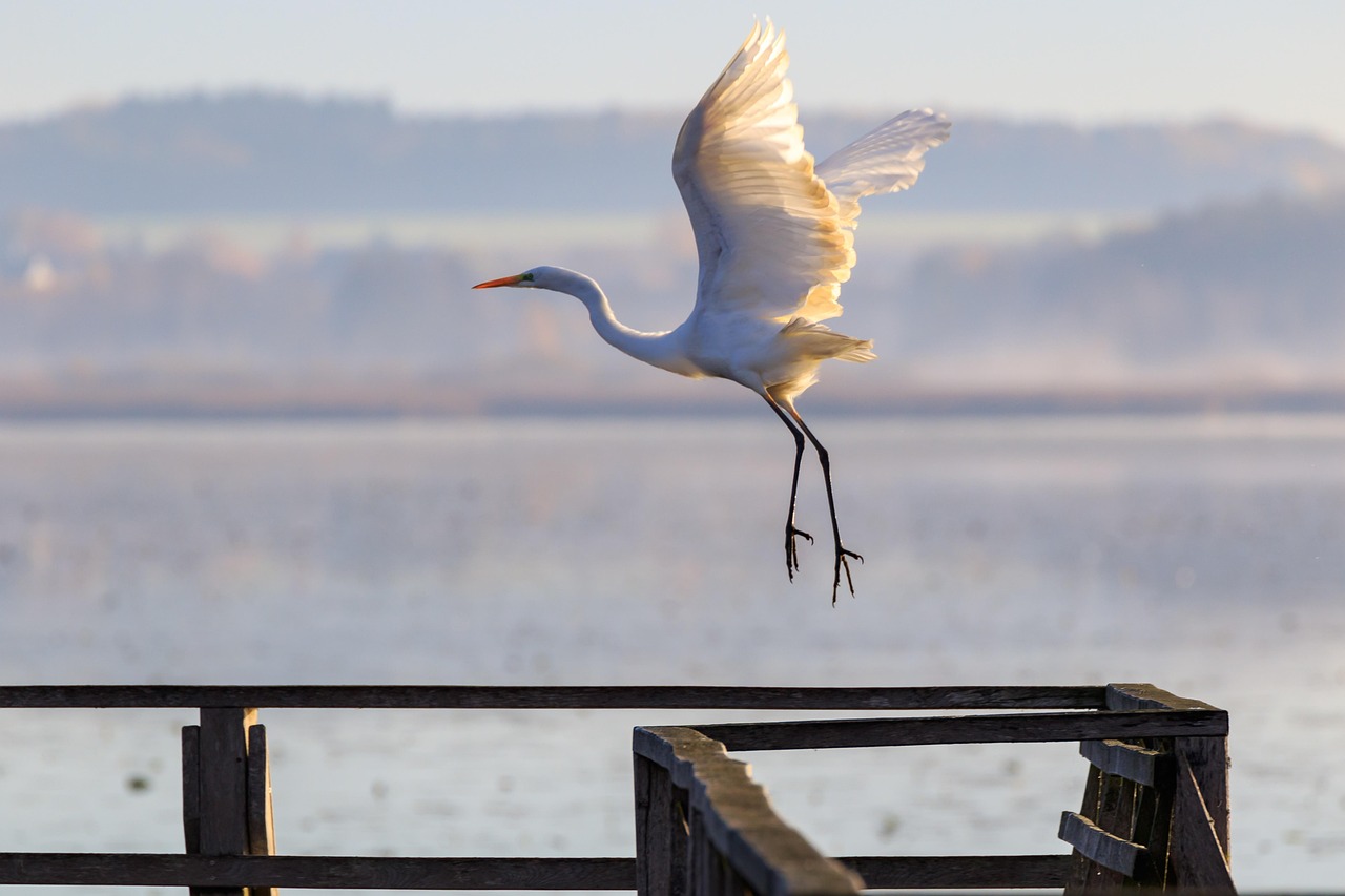 全球热点冲突事件最新动态及其影响分析