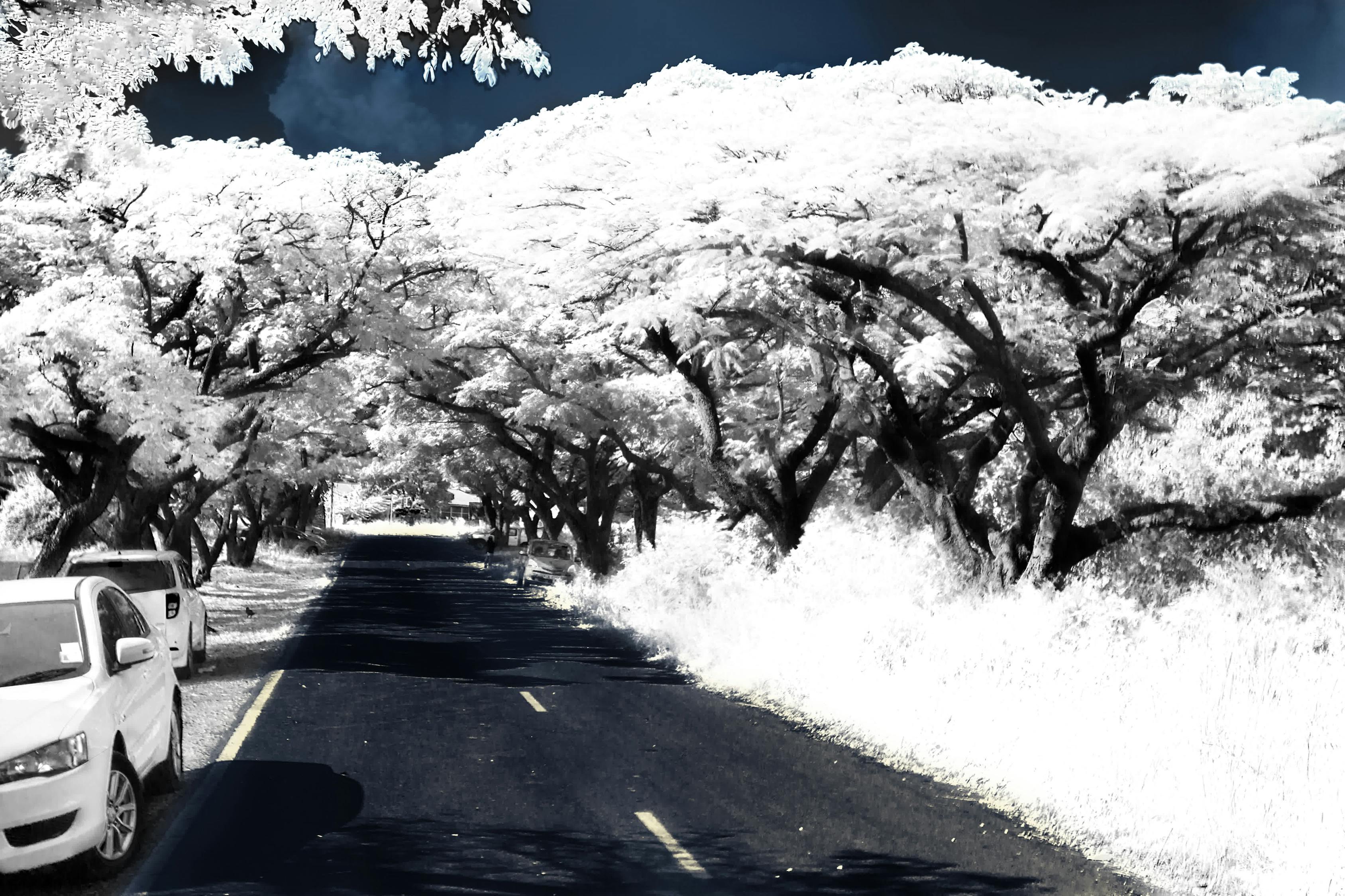 户外活动比赛，挑战自我，超越极限界限的竞技之旅