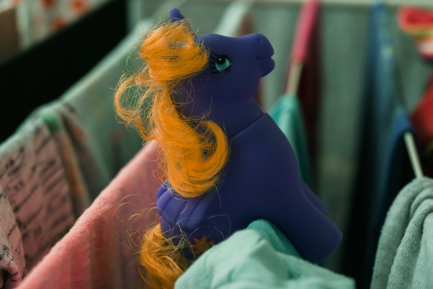 小马宝莉大电影5，梦幻与友谊的新篇章开启！