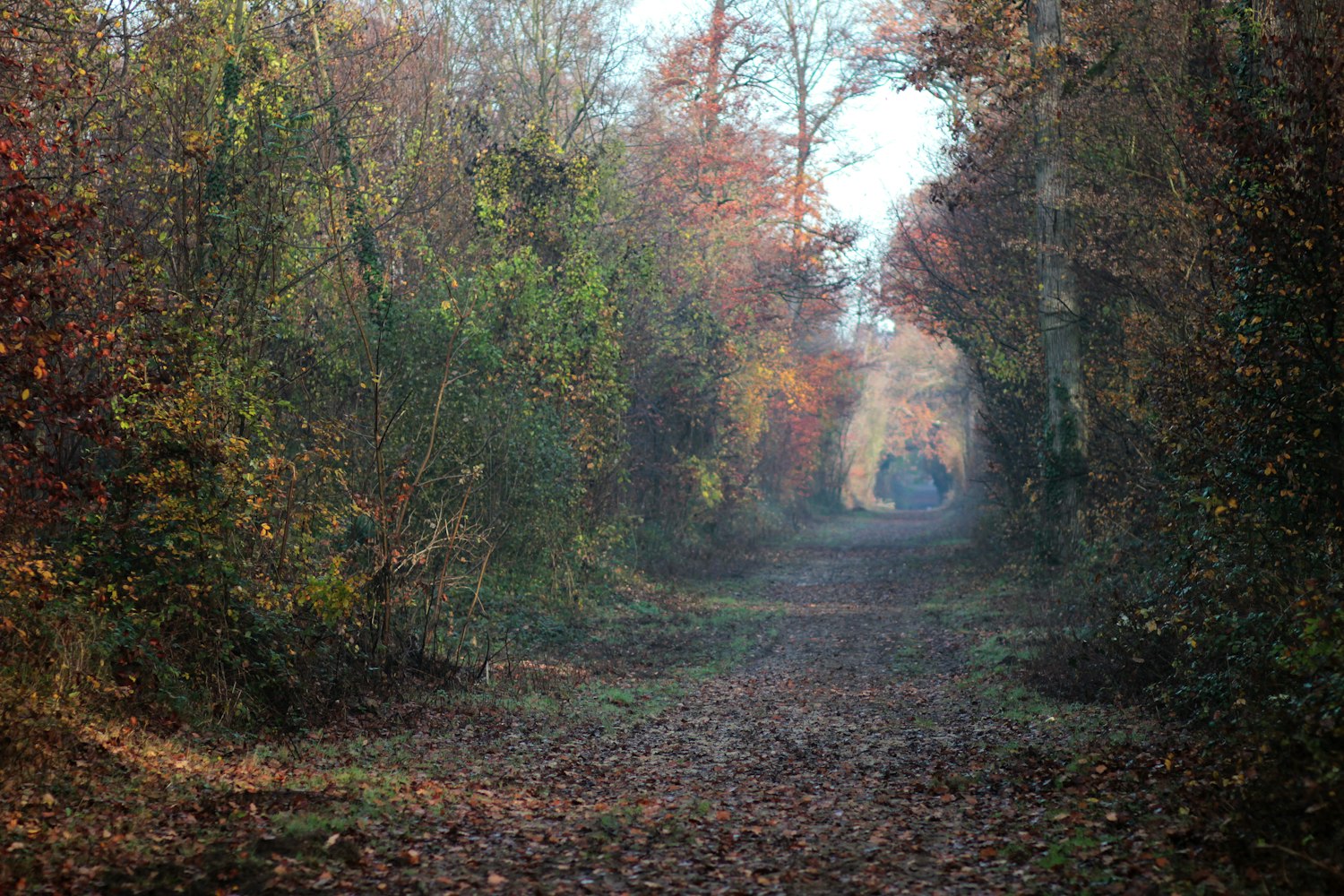 足球资讯，巴黎圣日耳曼的最新动态报道