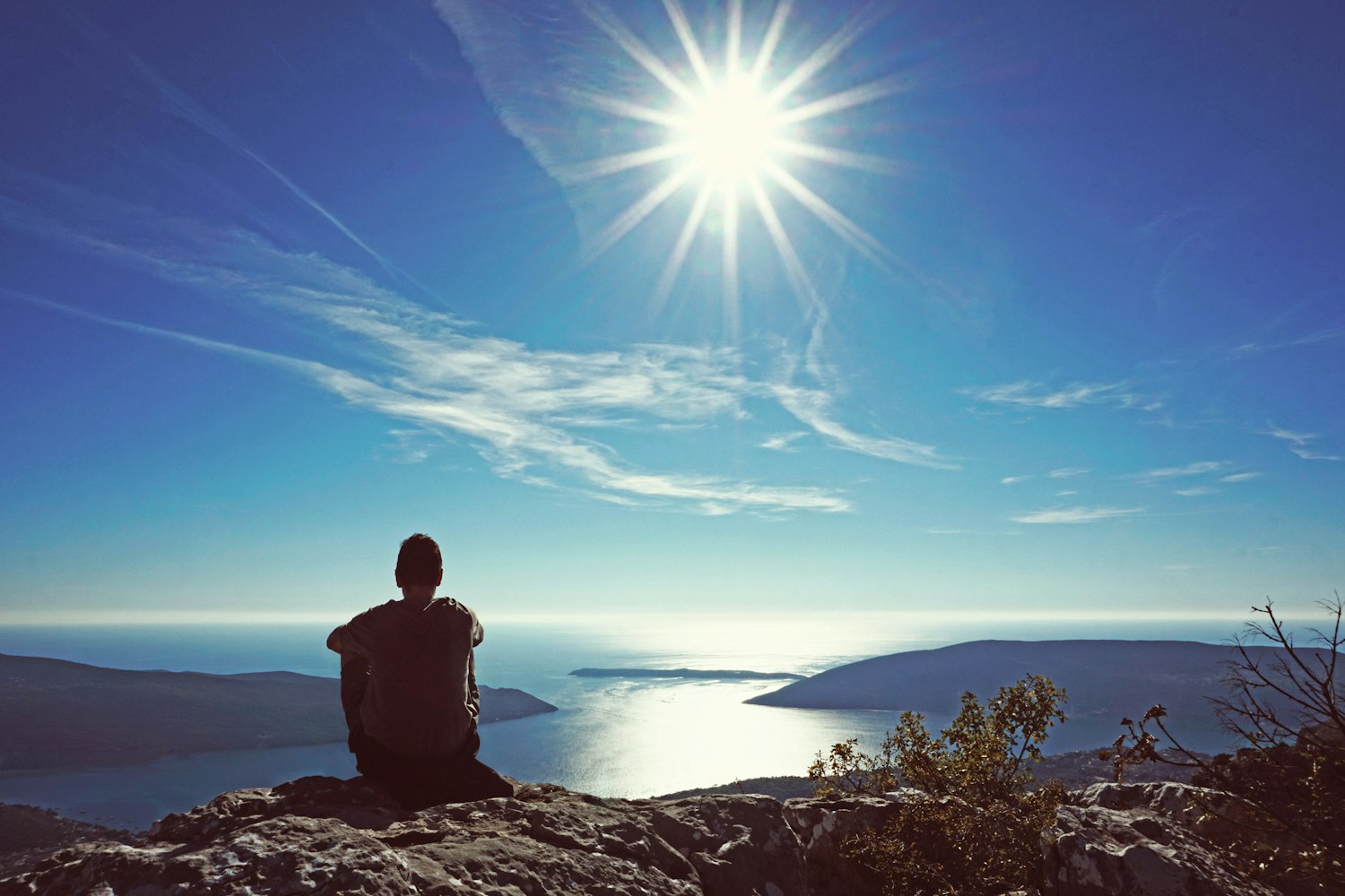 音乐与生活交融之美，最新美文音乐微景探索