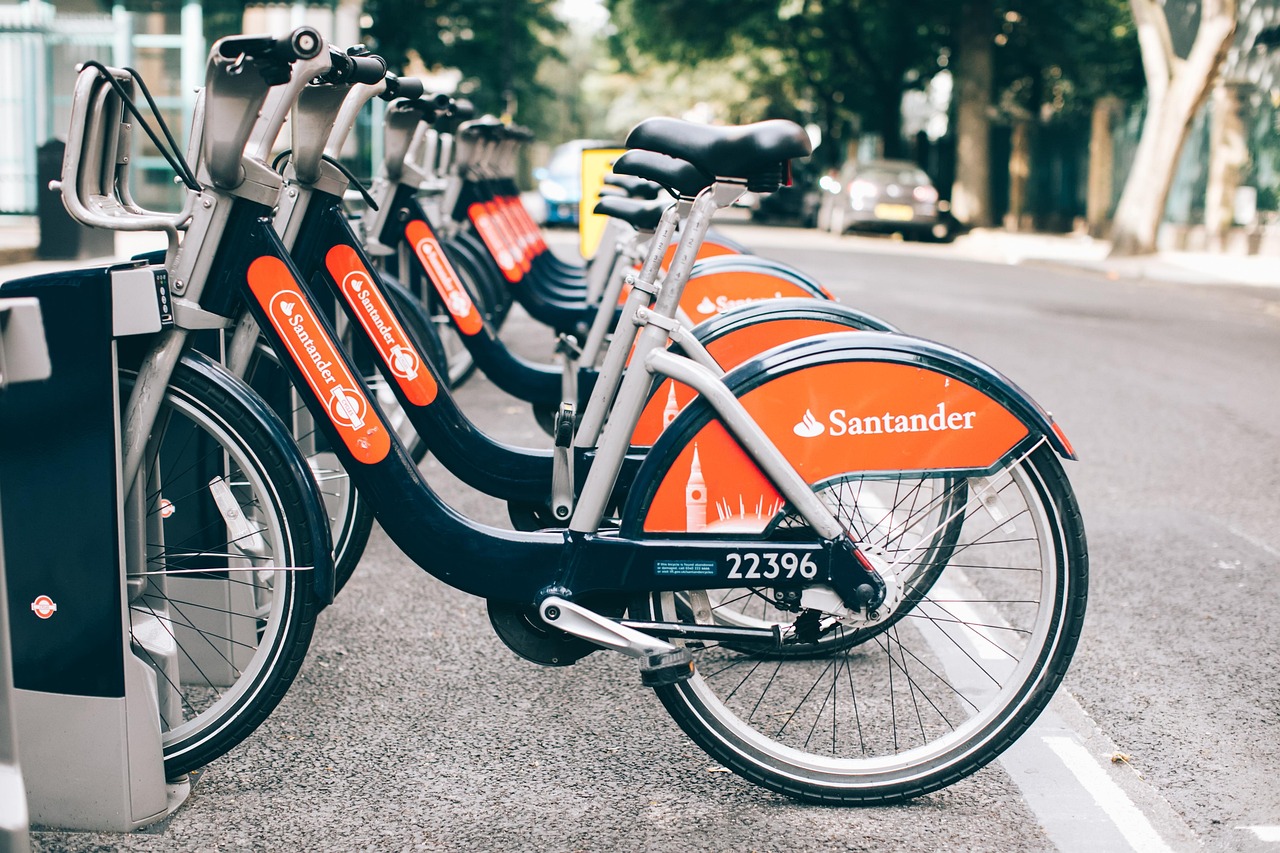 邹平县县域经济蓬勃发展，最新动态揭示崭新篇章