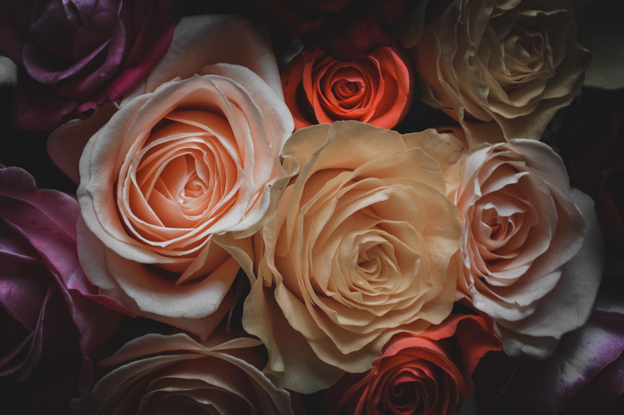 最新感人日本动漫盘点，那些触动人心的经典之作