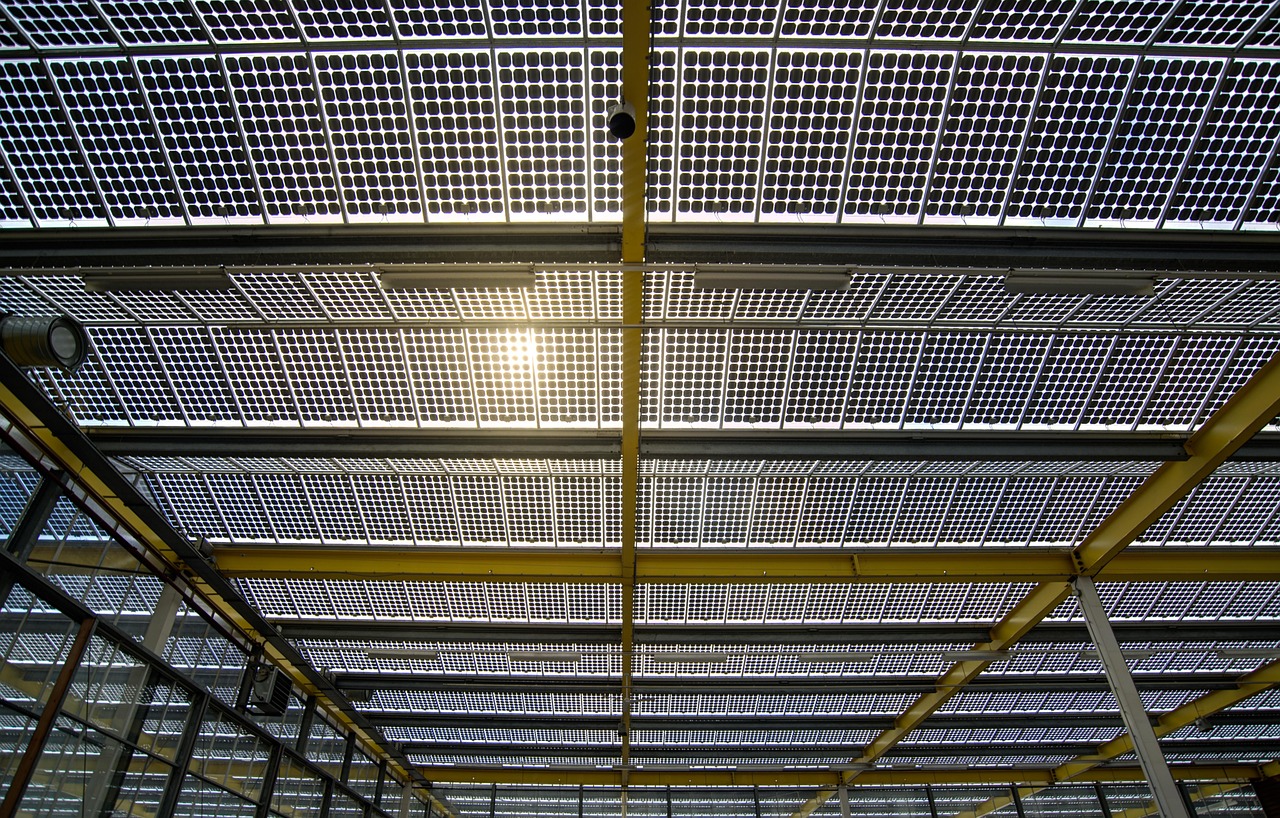 钟老最新疫情动态全面解析与深度洞察报告发布