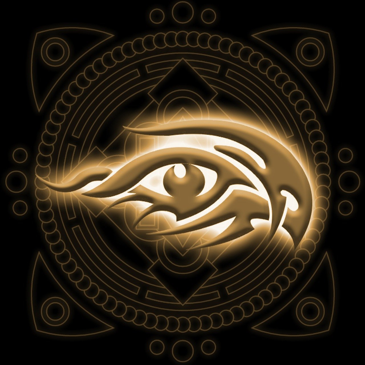 新时代脉搏引领下的最新资讯动态