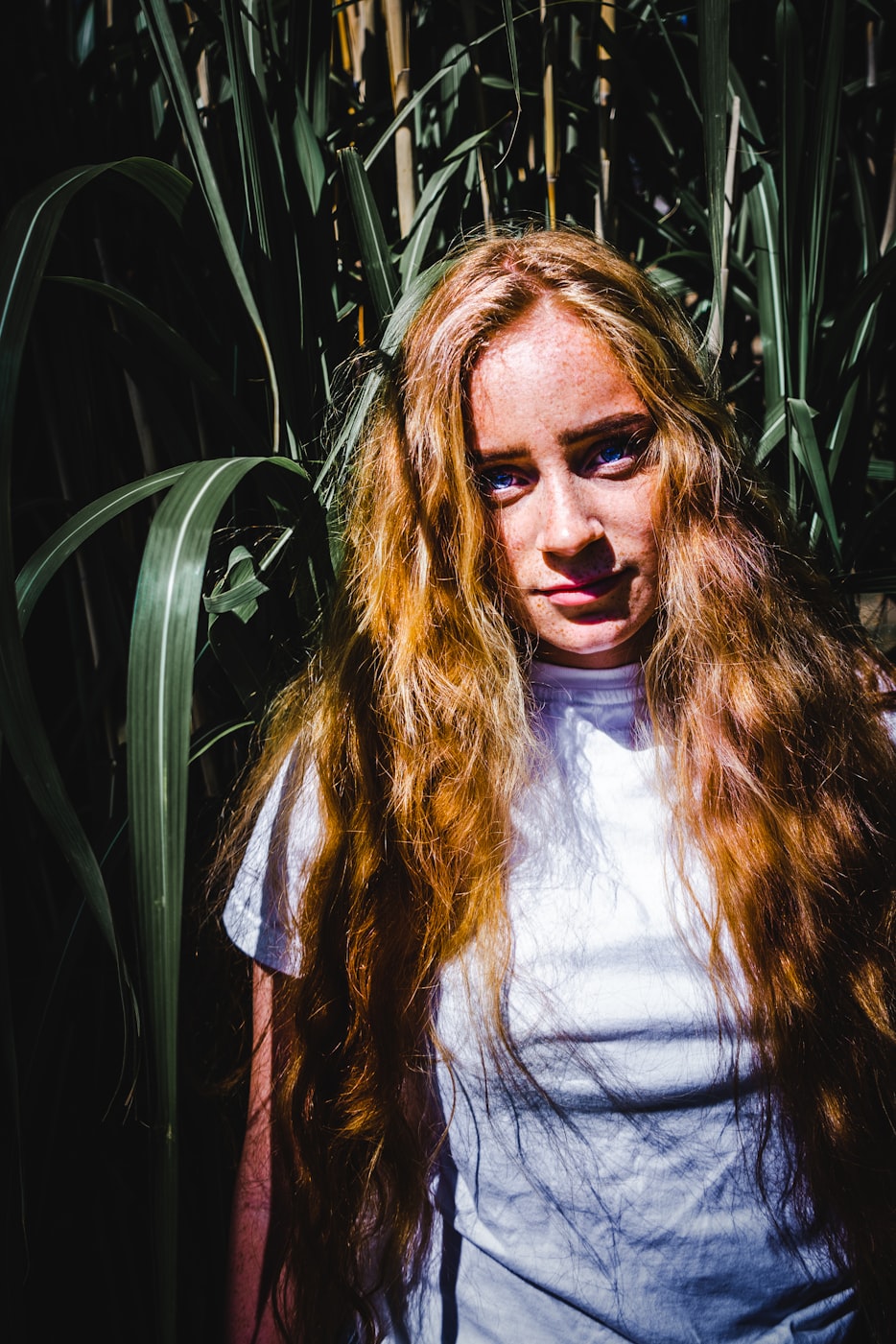 我的姐姐，明星之光