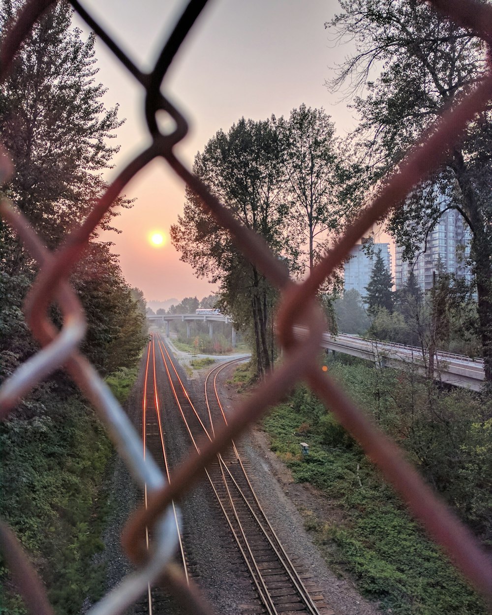 胖东来黄金最新价格动态，市场分析、趋势预测与实时更新