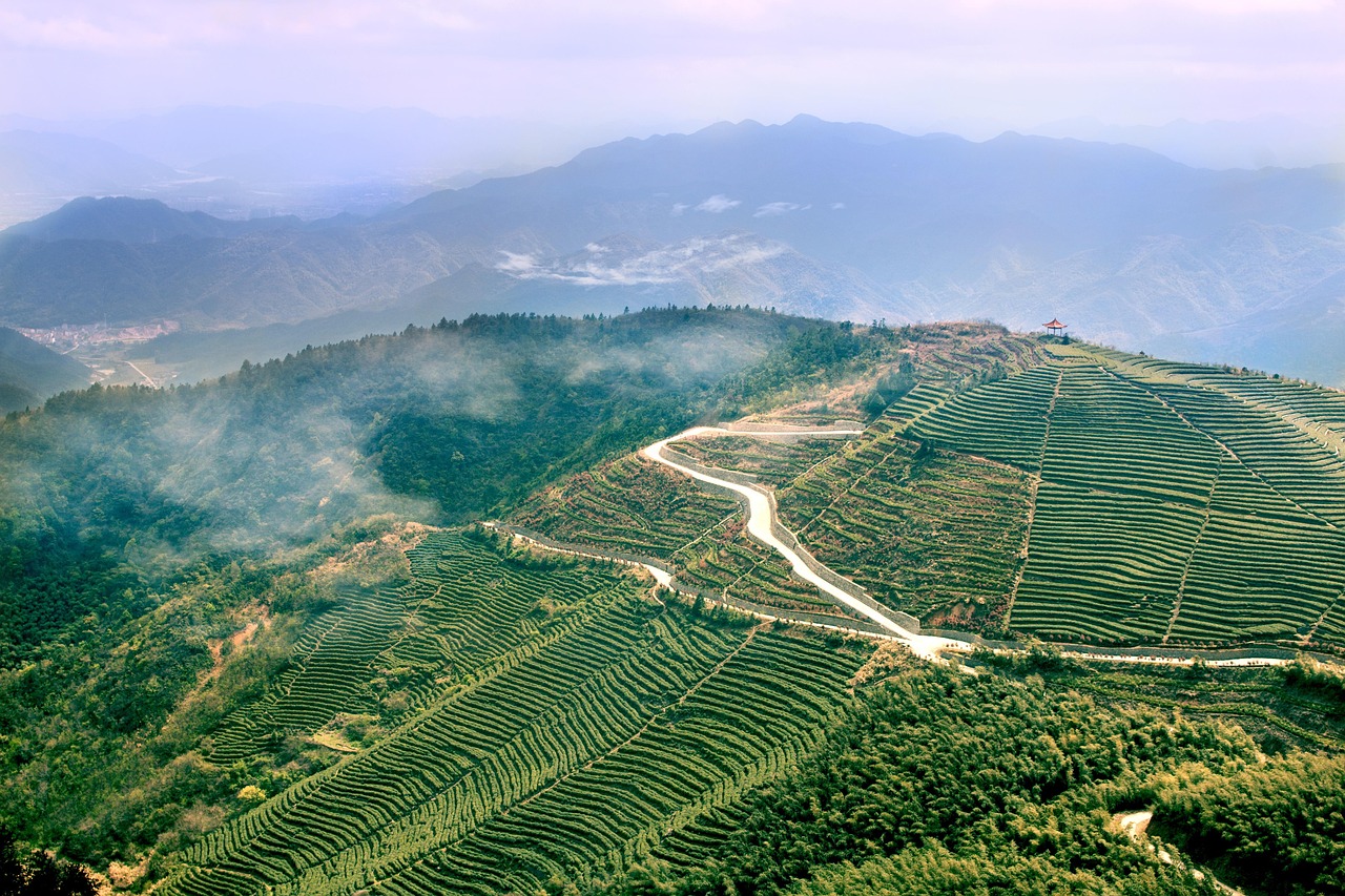 四川撤县建市最新进展，县域经济发展迈入新阶段