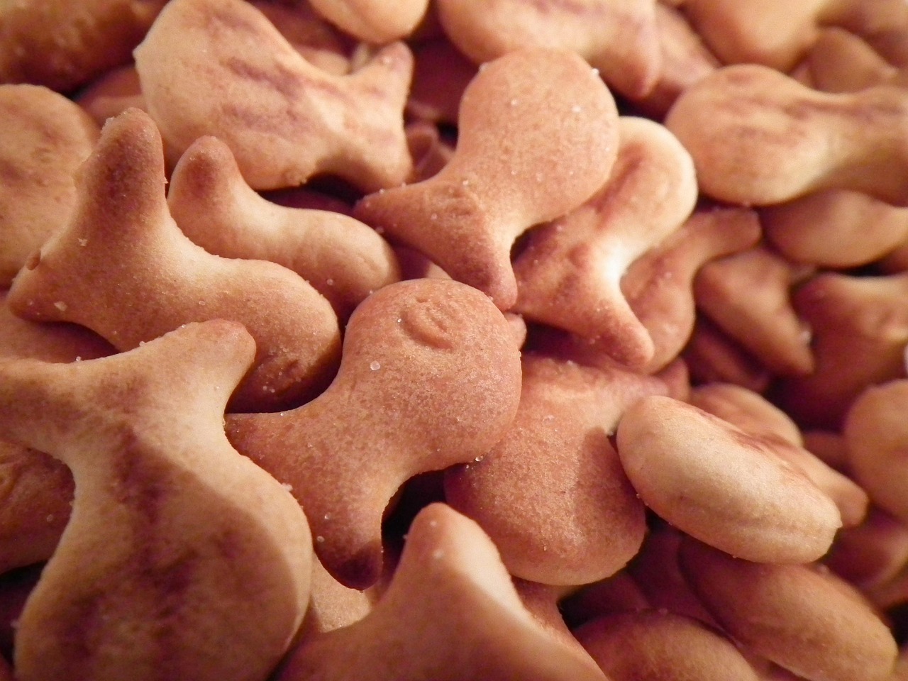 西咸新区地铁建设进展、最新动态与未来展望