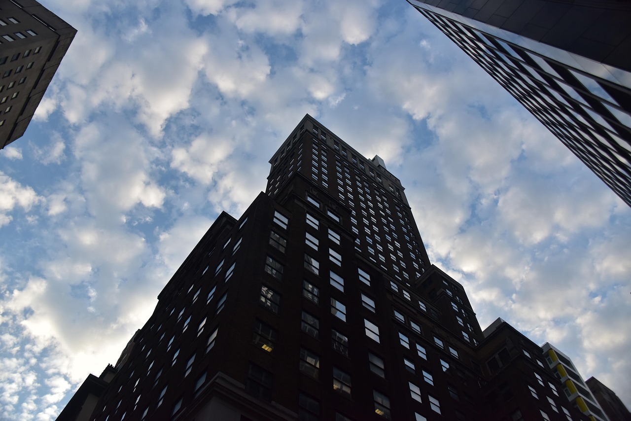 F4美国移民最新排期公布,影响、解读与未来展望分析