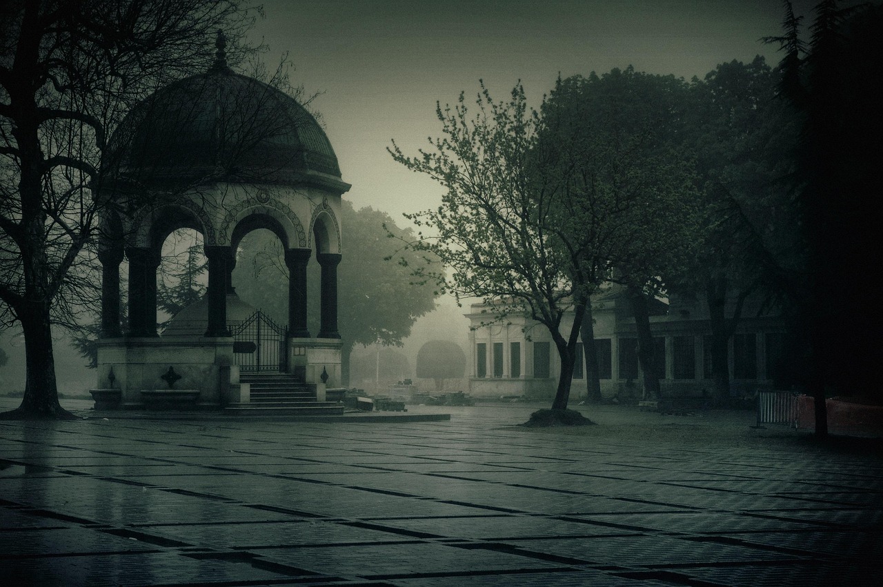 黑街动漫,探索神秘世界的魅力之源