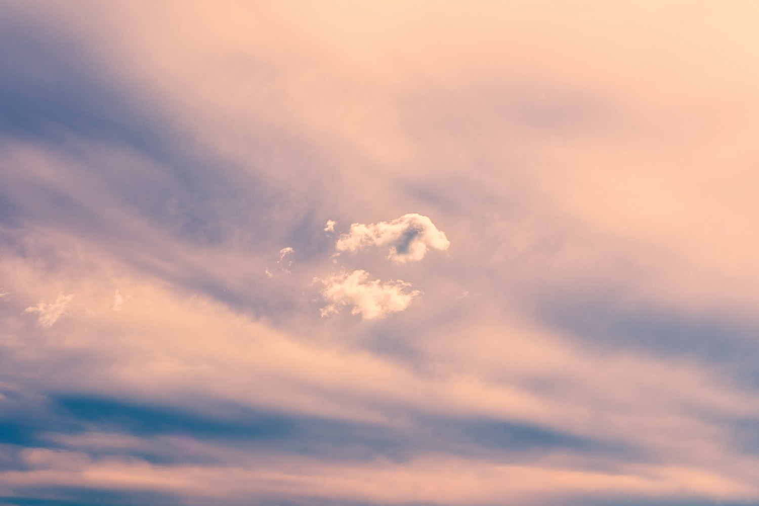 最新版XP系统纯净版,探索与体验之旅