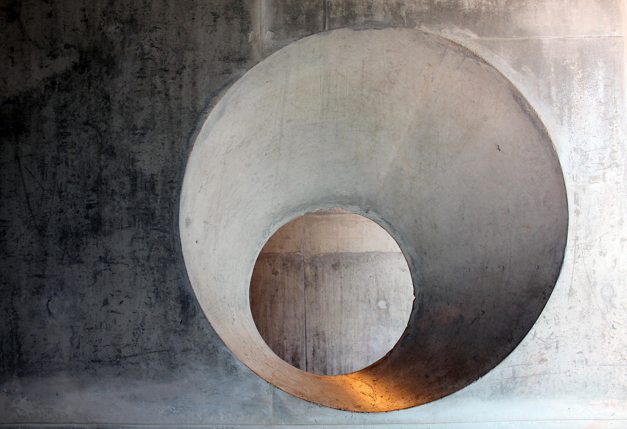 探索银元文化的魅力与价值,最新银元书概览