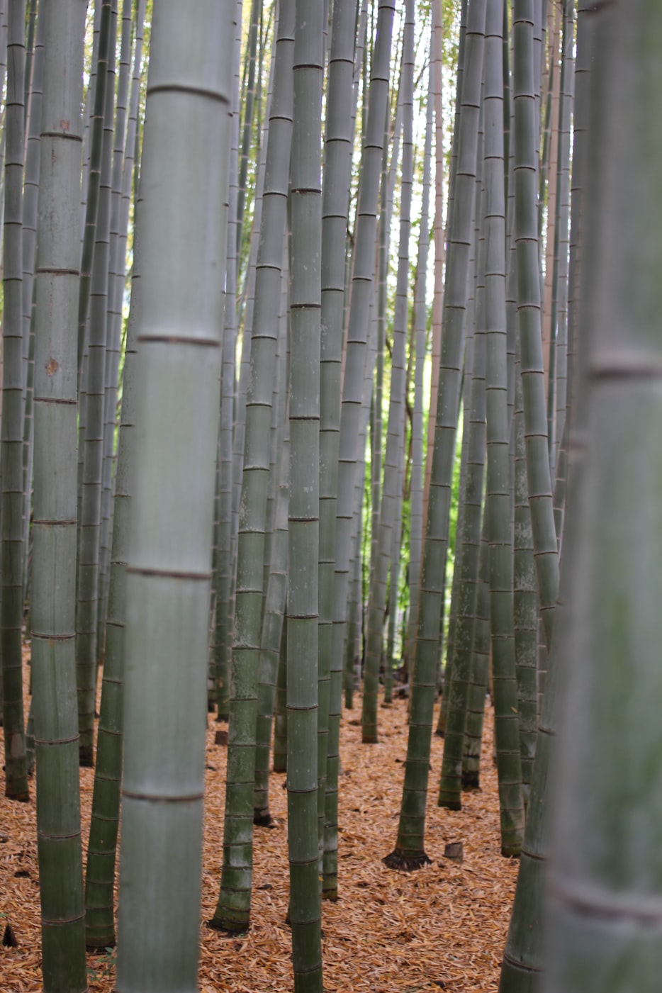 崇州润恒城最新动态及研究报告更新摘要