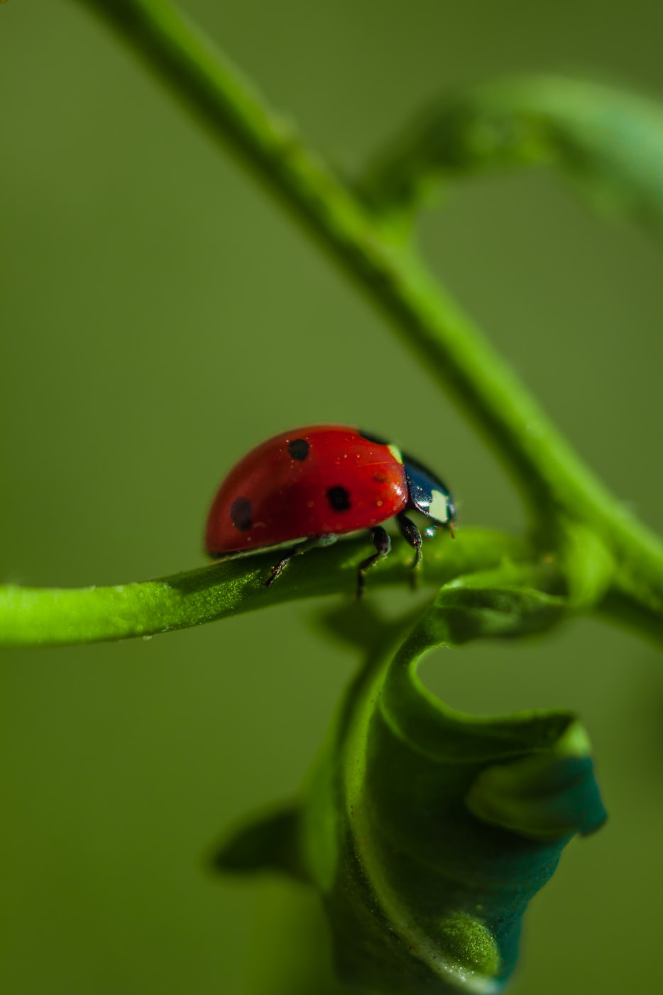 大厂山潘街最新动态,揭示城市发展的脉搏新进展