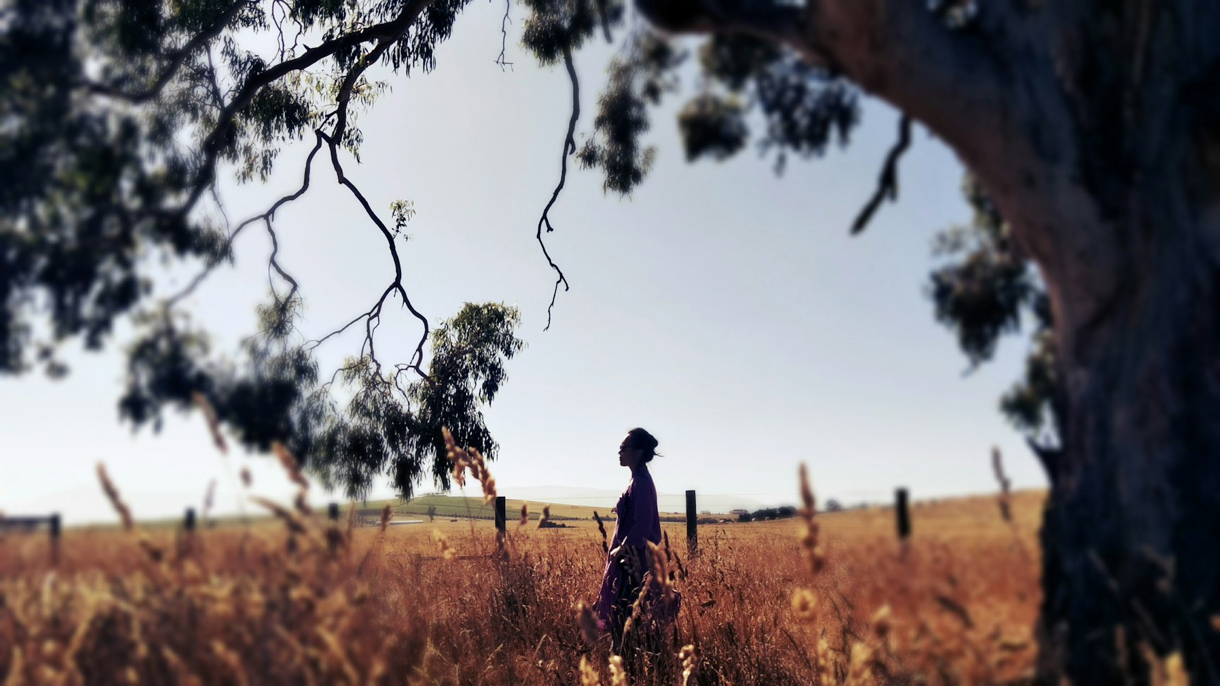 探寻电影背后的故事与情感——演员梦真之路