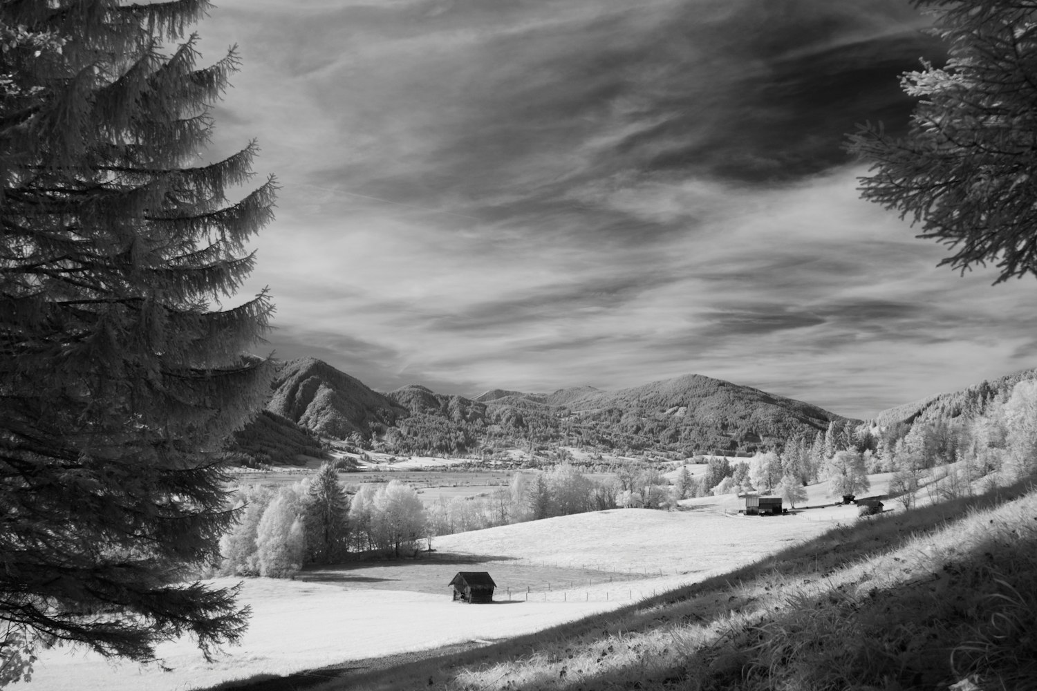 乡村医疗动态,探索前行之路