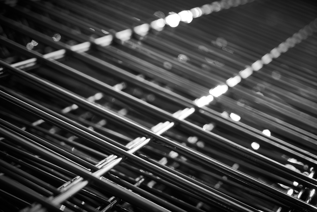 安徽大豆价格最新行情及分析概述