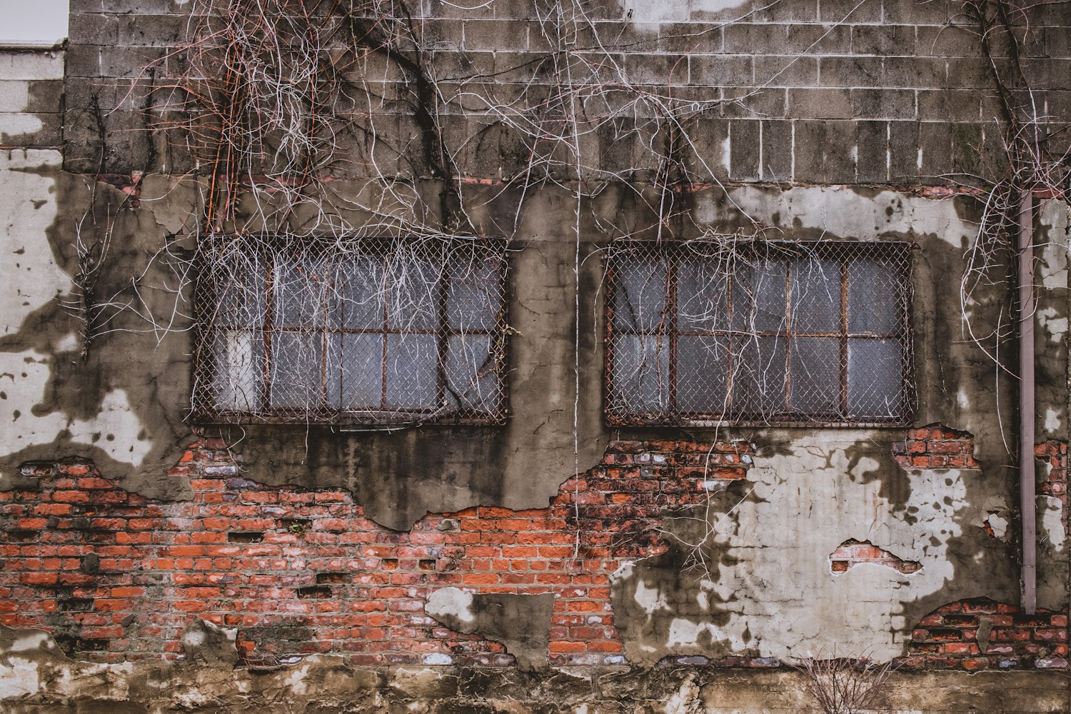 上海人美连环画新作，传统与现代的融合之美展现新篇章