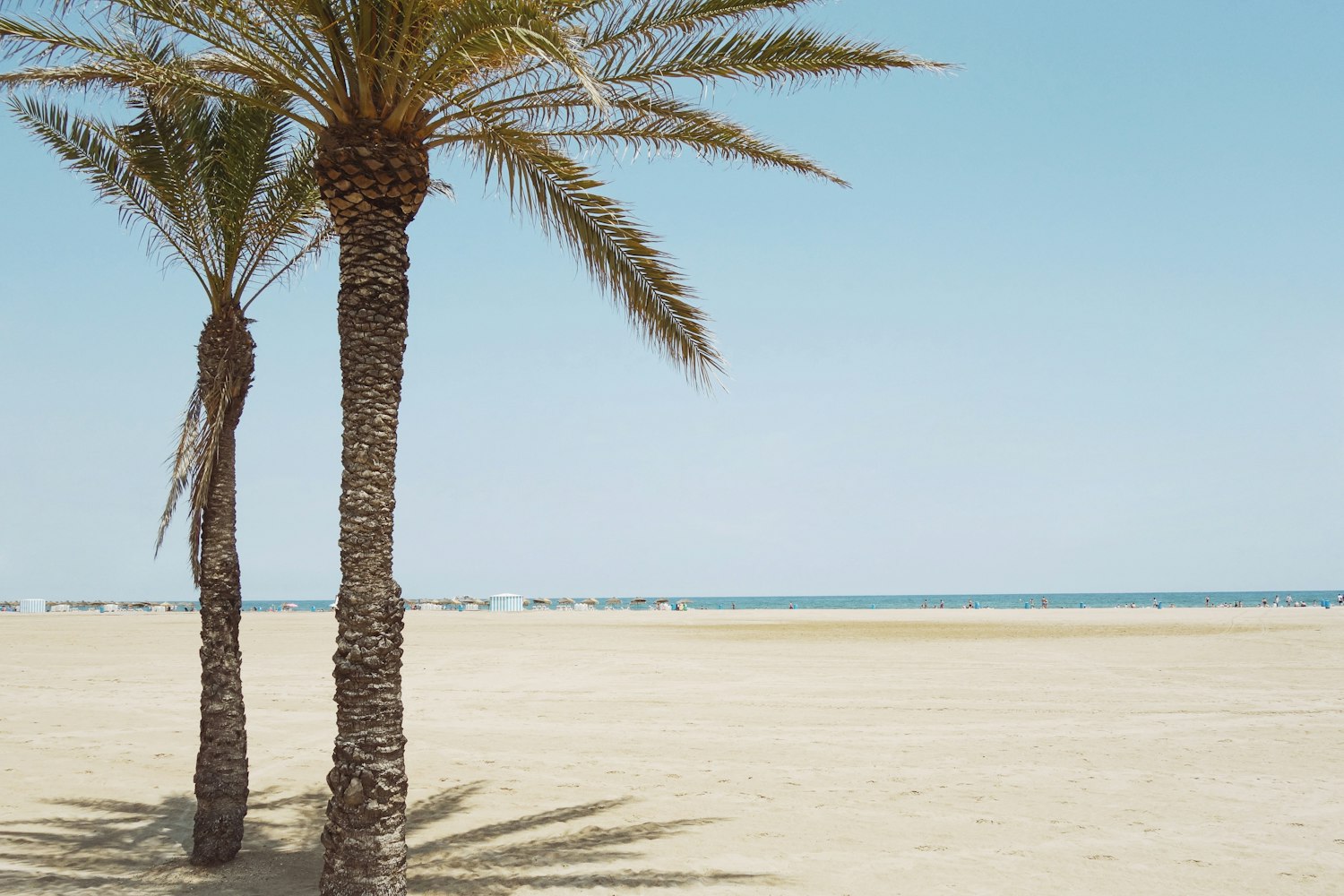 农村土地改革最新动态,探索、进展与未来前景