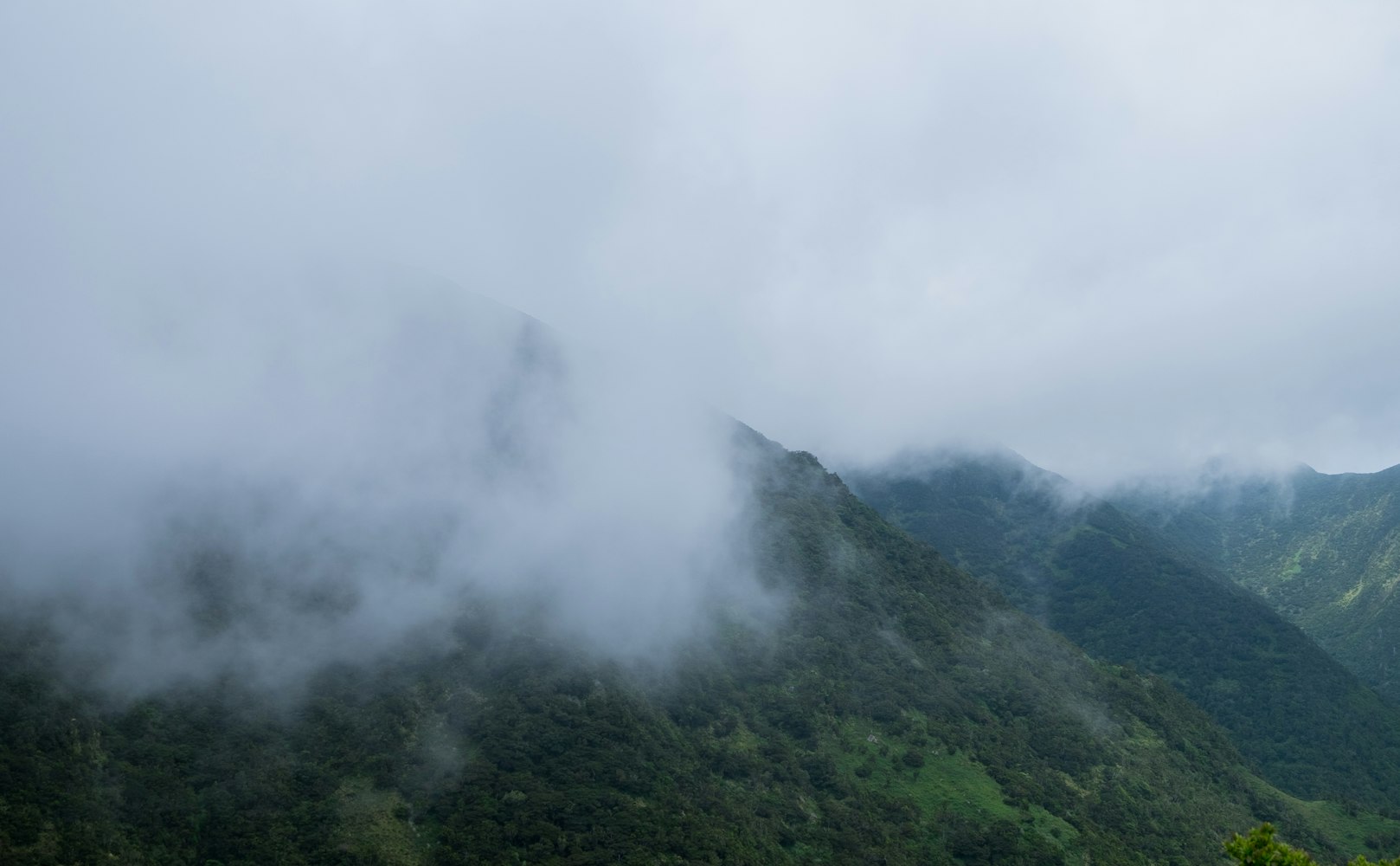 2026年1月9日 第10页