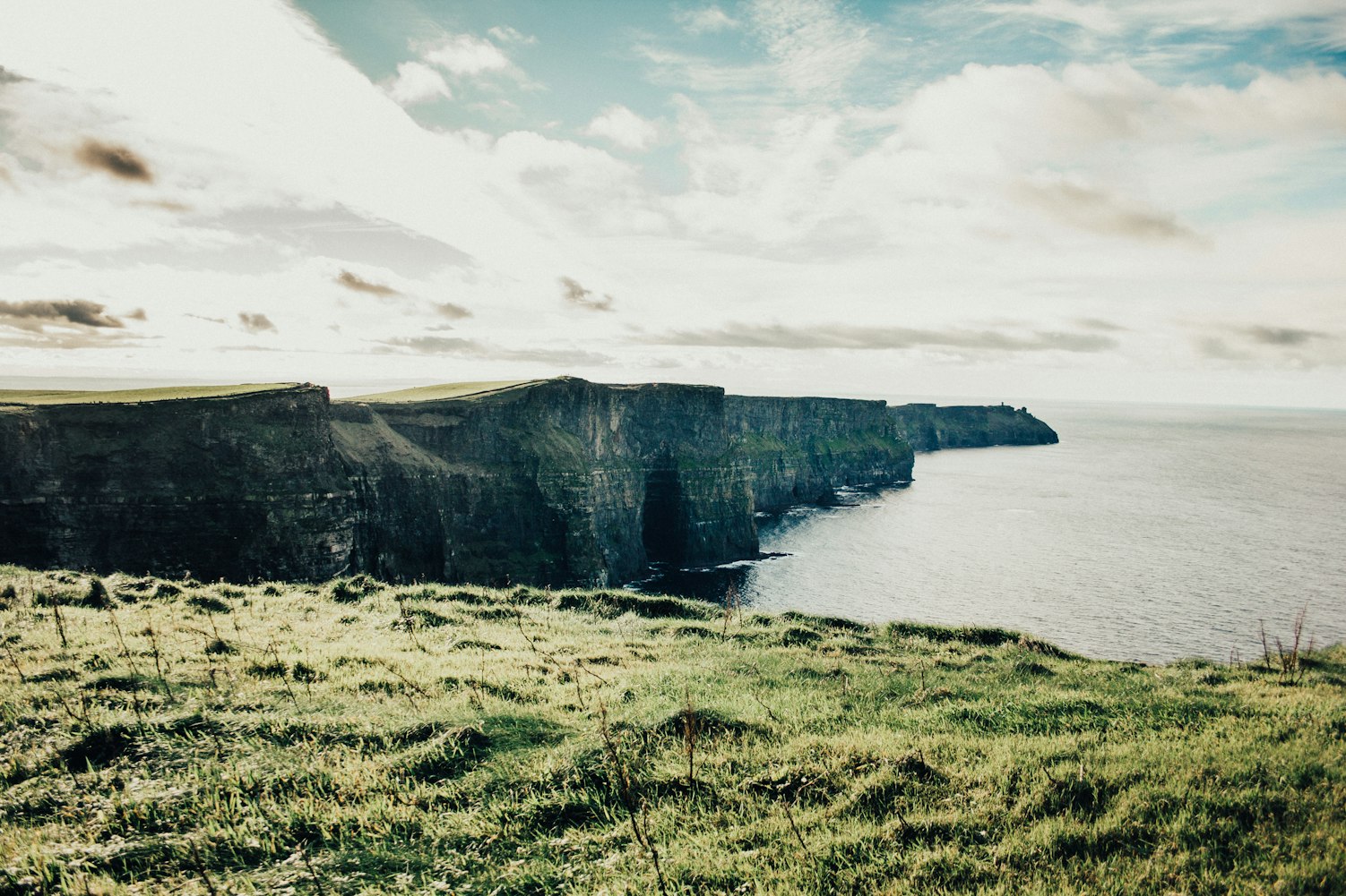 芦名最新资讯，探索前沿动态，深度洞察报道