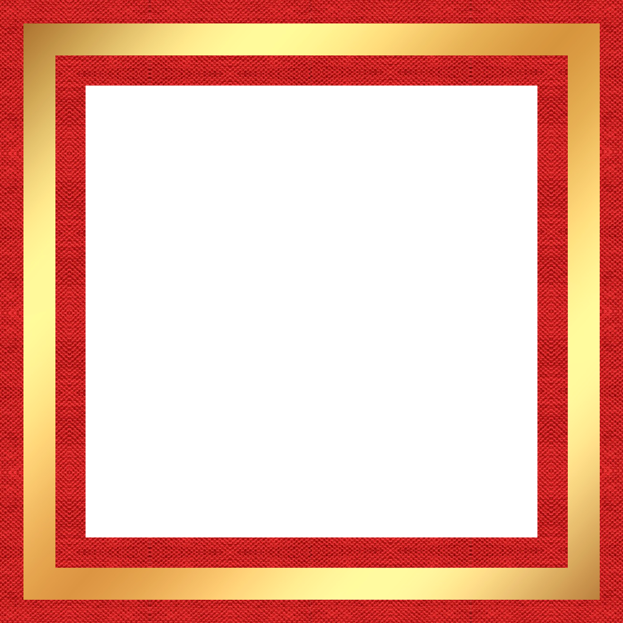 天宇赛鸽公棚最新公告发布,最新动态及通知