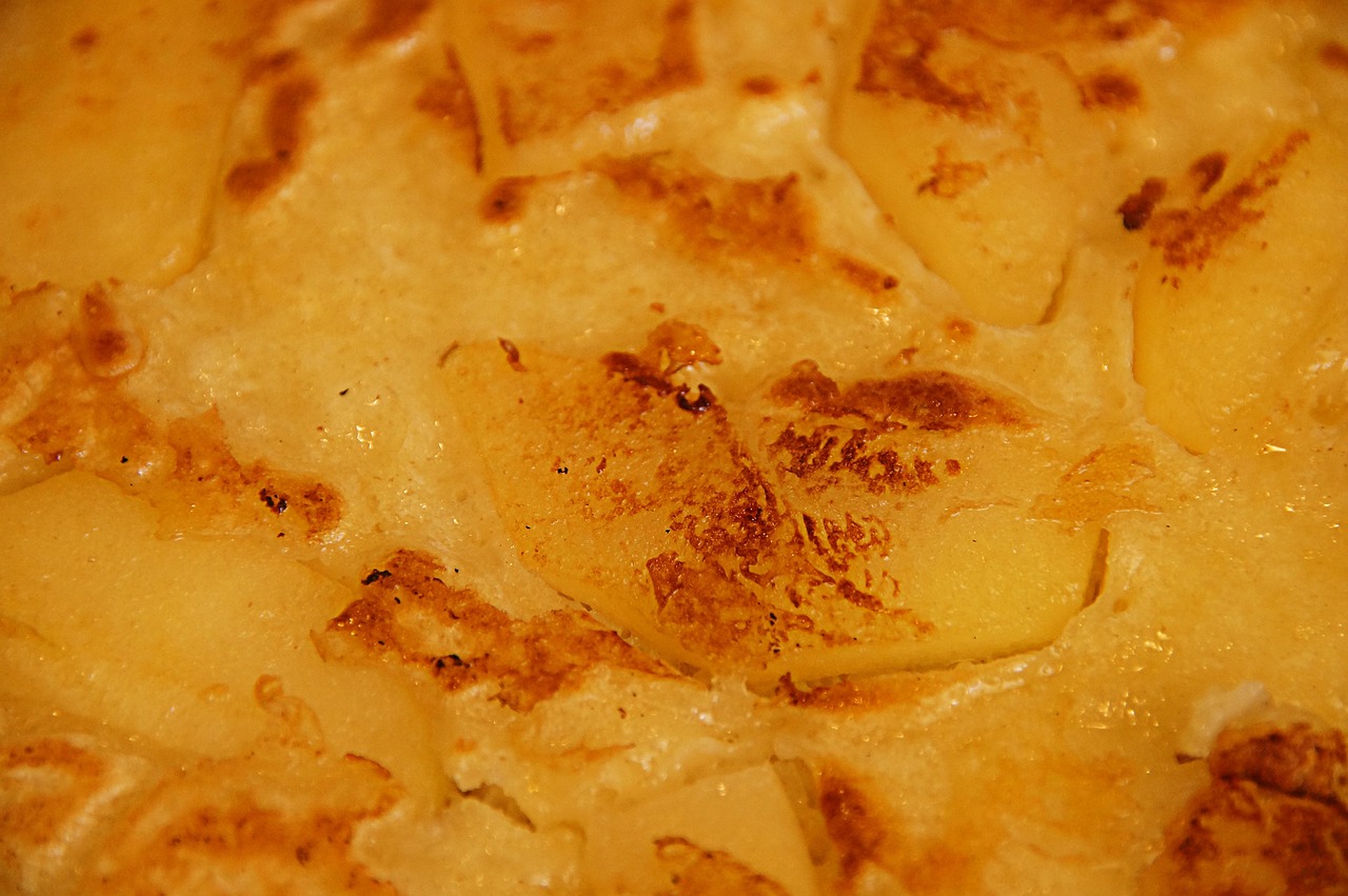 探索标致品牌新动向,动态资讯与市场发展趋势解析