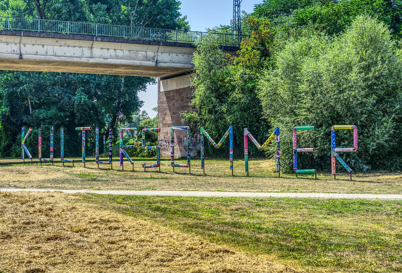 揭秘沣东新城斗门最新动态，区域发展新篇章开启