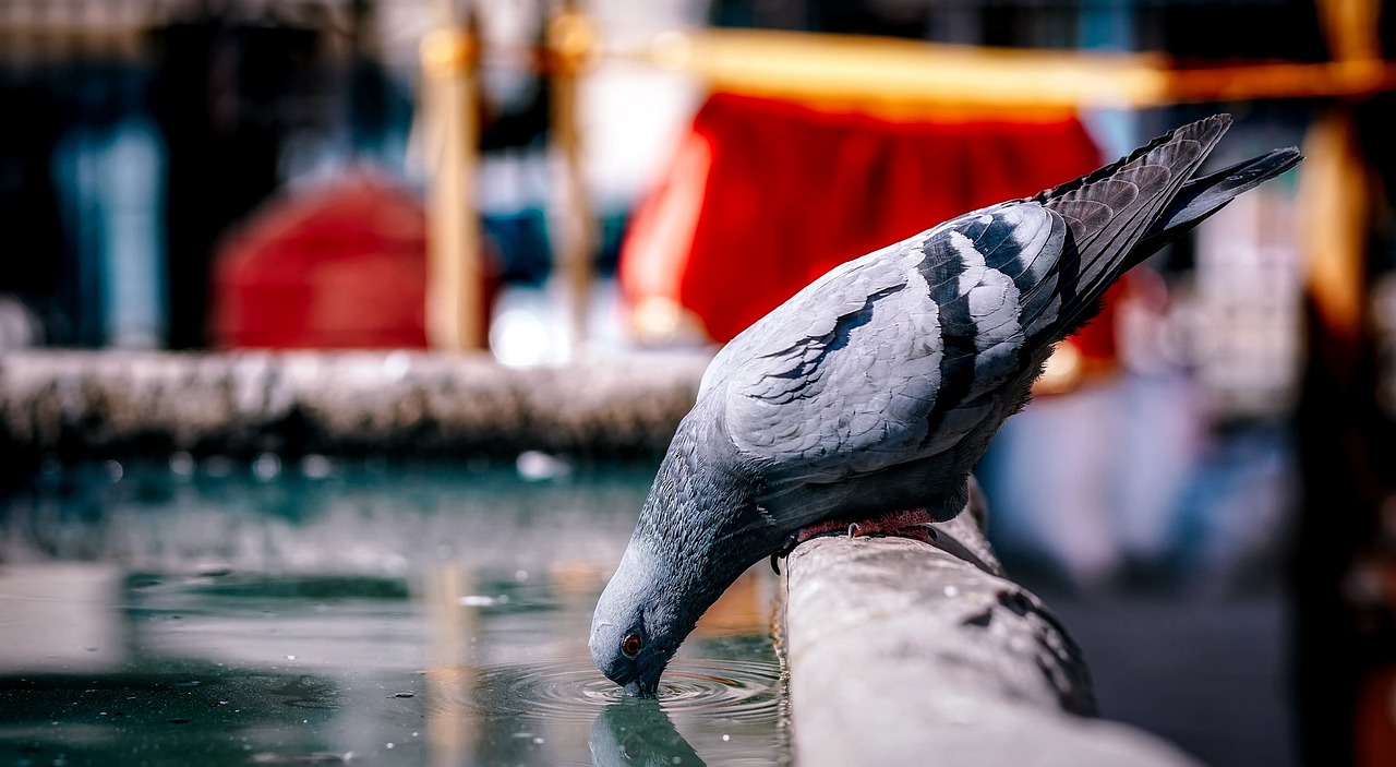 阳江325国道最新进展动态报告