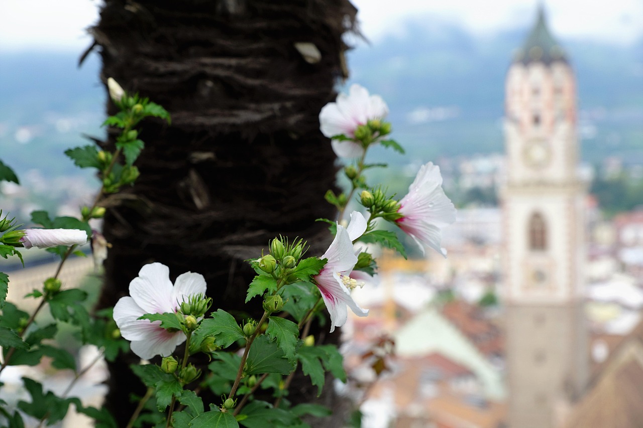 燕矶机场发展动态，创新、未来展望与持续进步之路