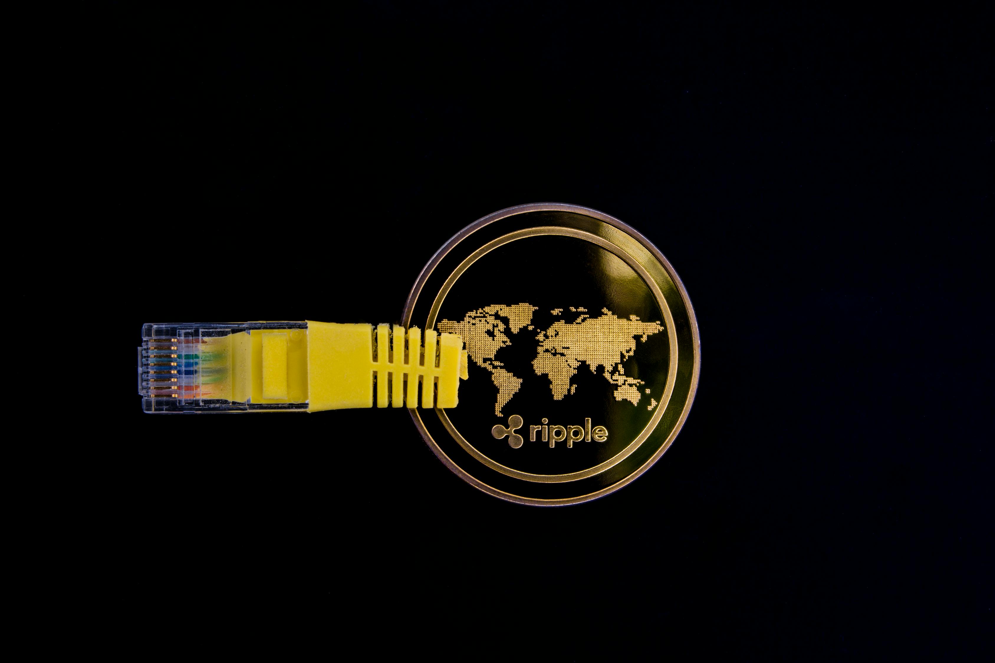 最新金币版本,探索数字资产的未来趋势