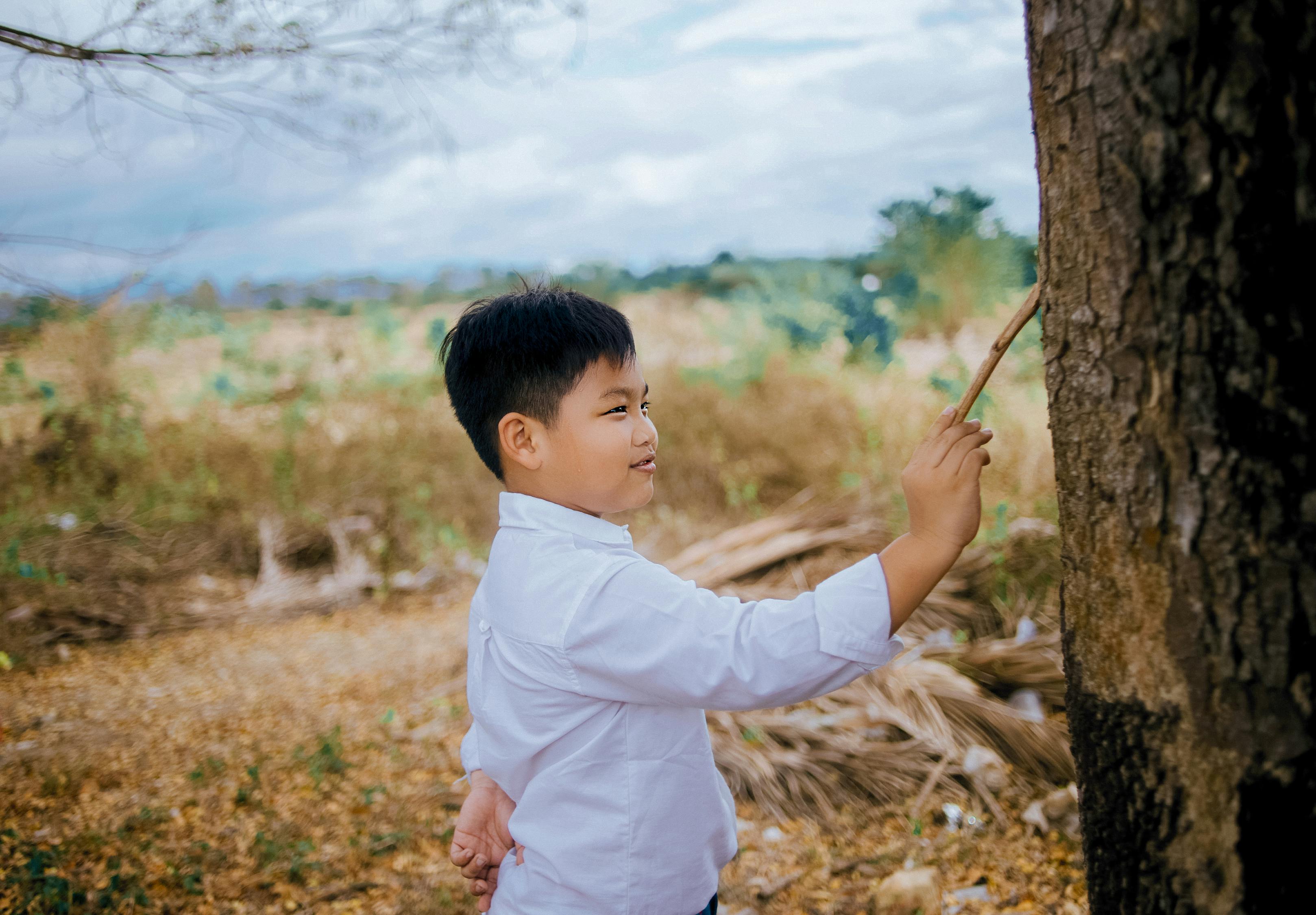 与明星恋爱的幻想与现实，揭秘明星恋爱的真相