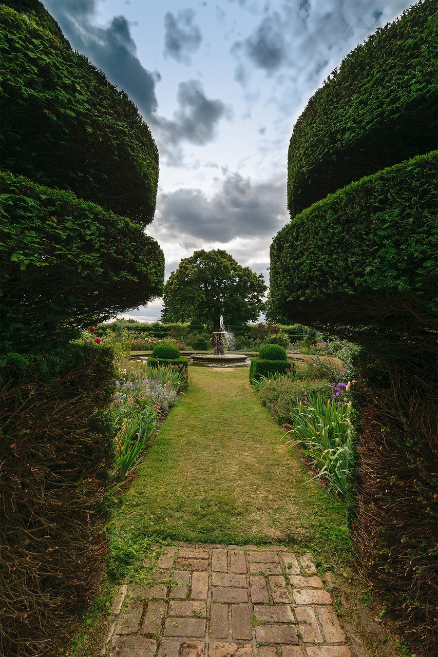 廊坊水域生态探索，新鲜渔获与丰富体验揭秘